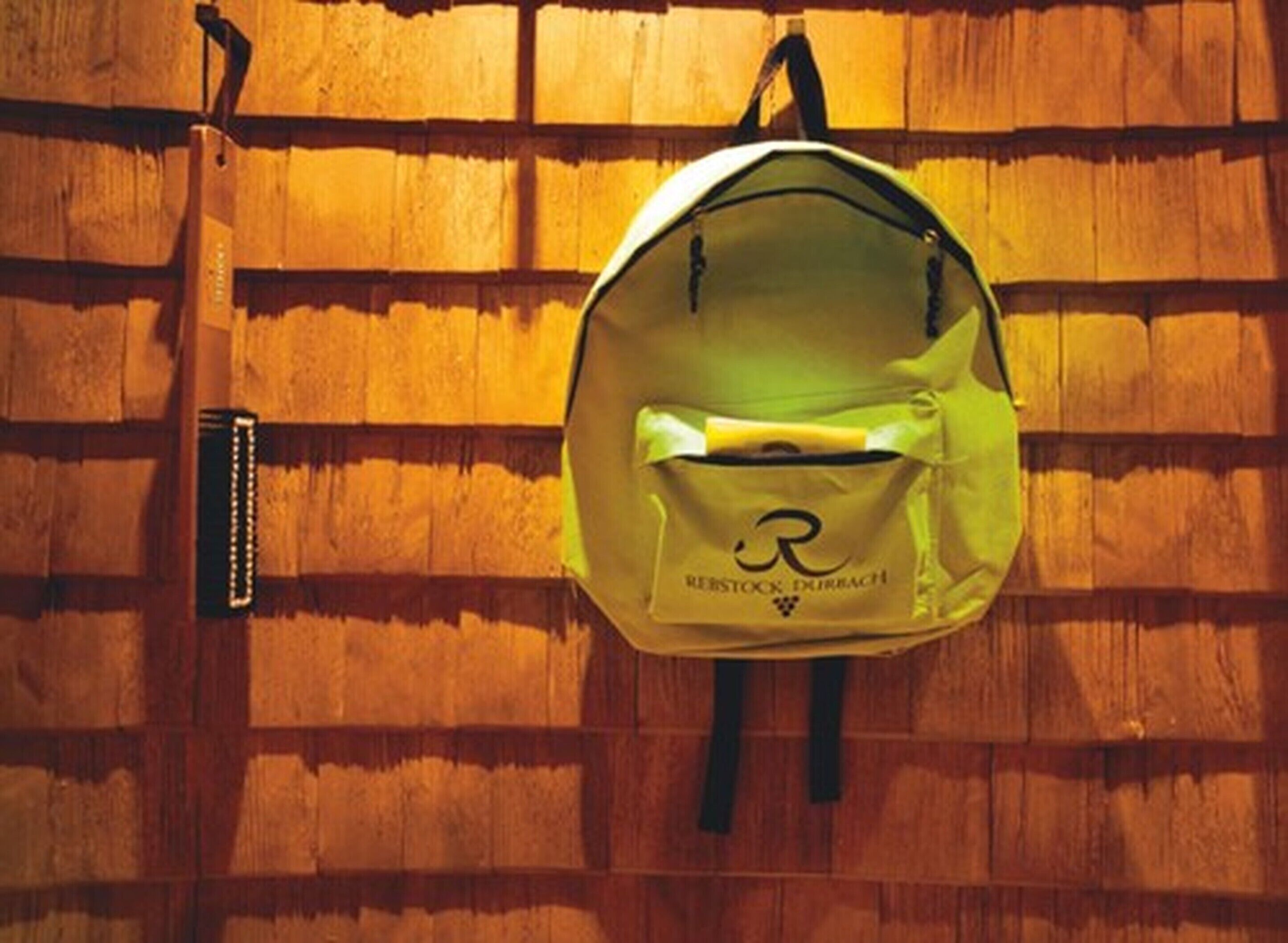 A backpack hanging on a wooden wall.
