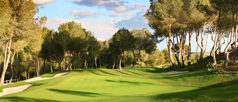 Un campo de golf con búnkeres de arena, un marcador de bandera y árboles.