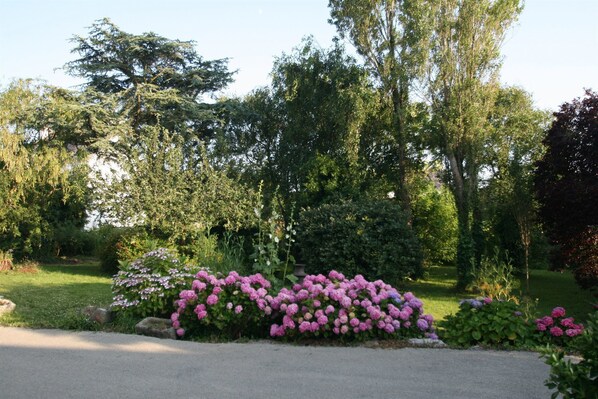 Taman