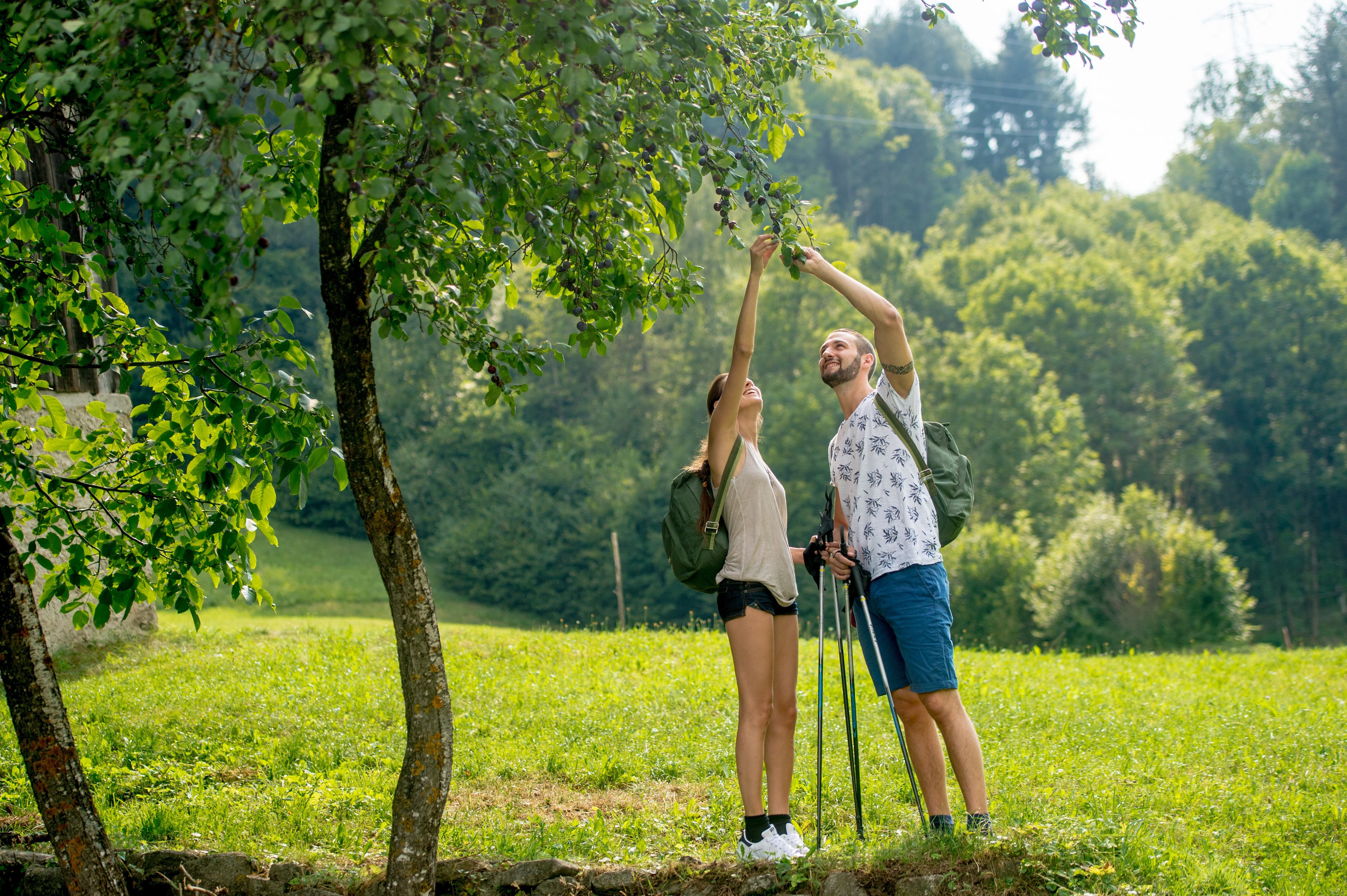 Dos personas caminando por un campo cubierto de hierba, con árboles y un paisaje montañoso al fondo.
