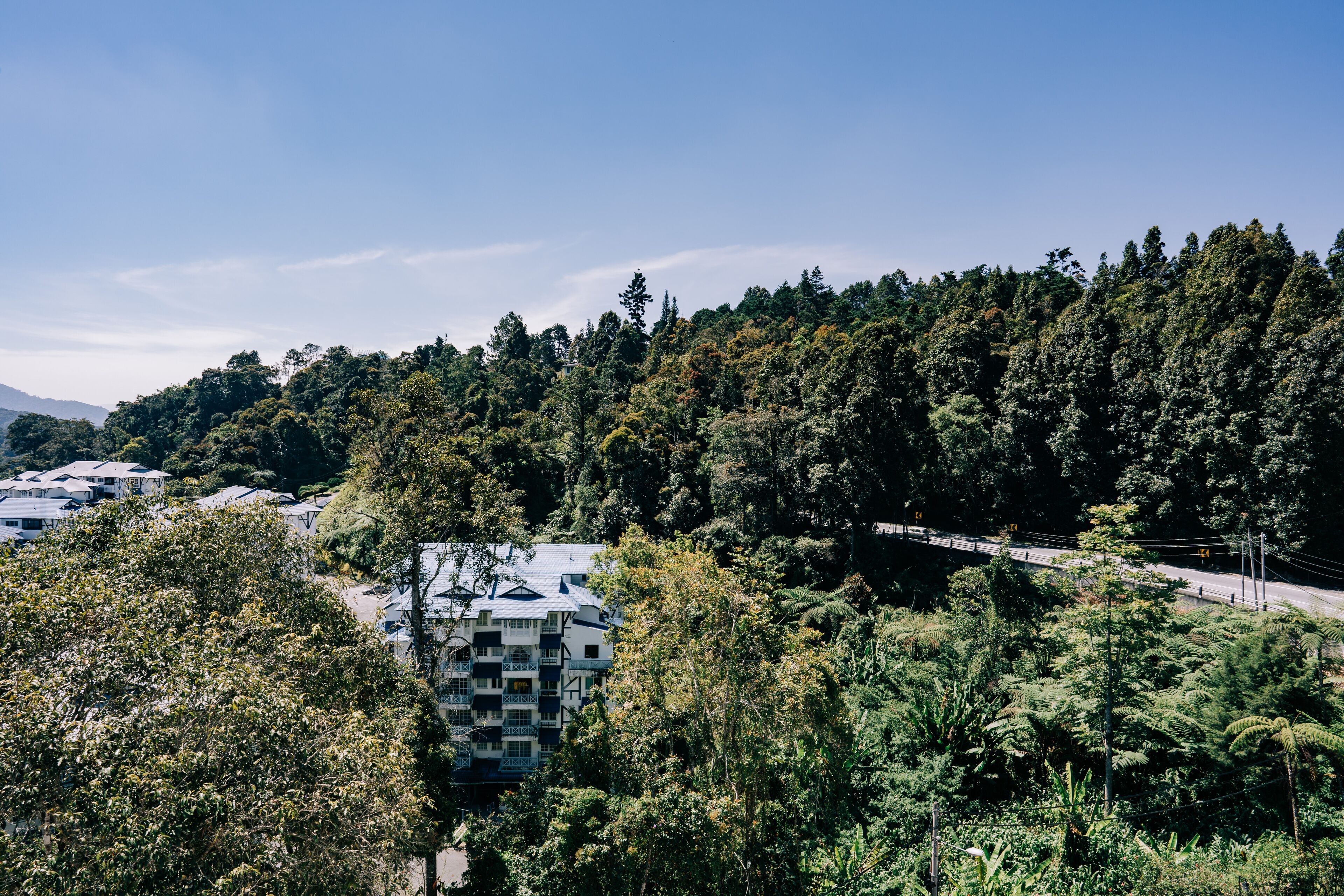 Un edificio con un diseño arquitectónico único, rodeado de un bosque frondoso y un cielo despejado.