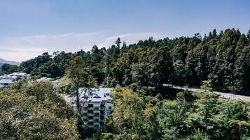 Un edificio con un design architettonico unico, immerso in una fitta foresta e sotto un cielo sereno.