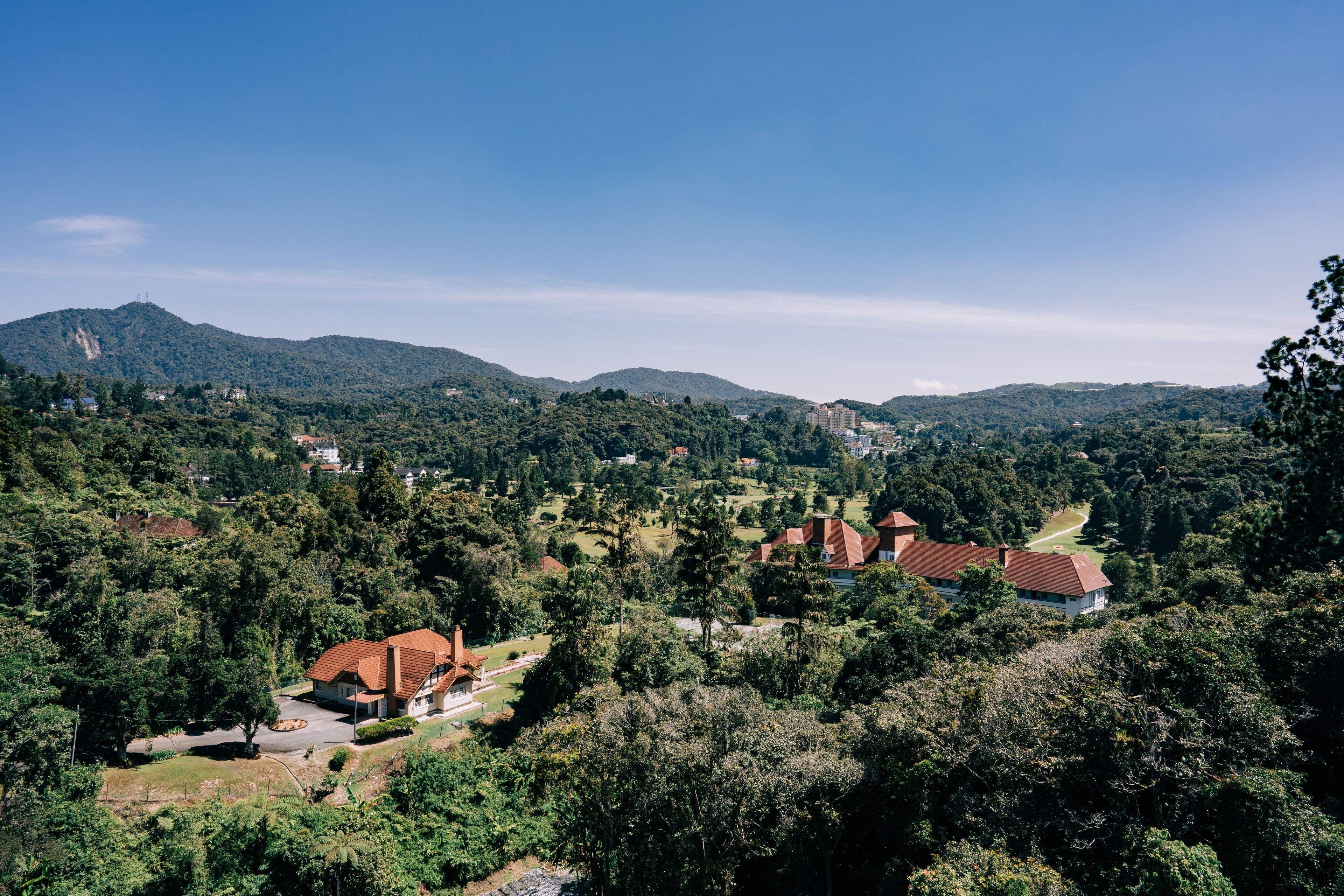 Zona residencial con casas rodeadas de abundante vegetación y colinas al fondo.