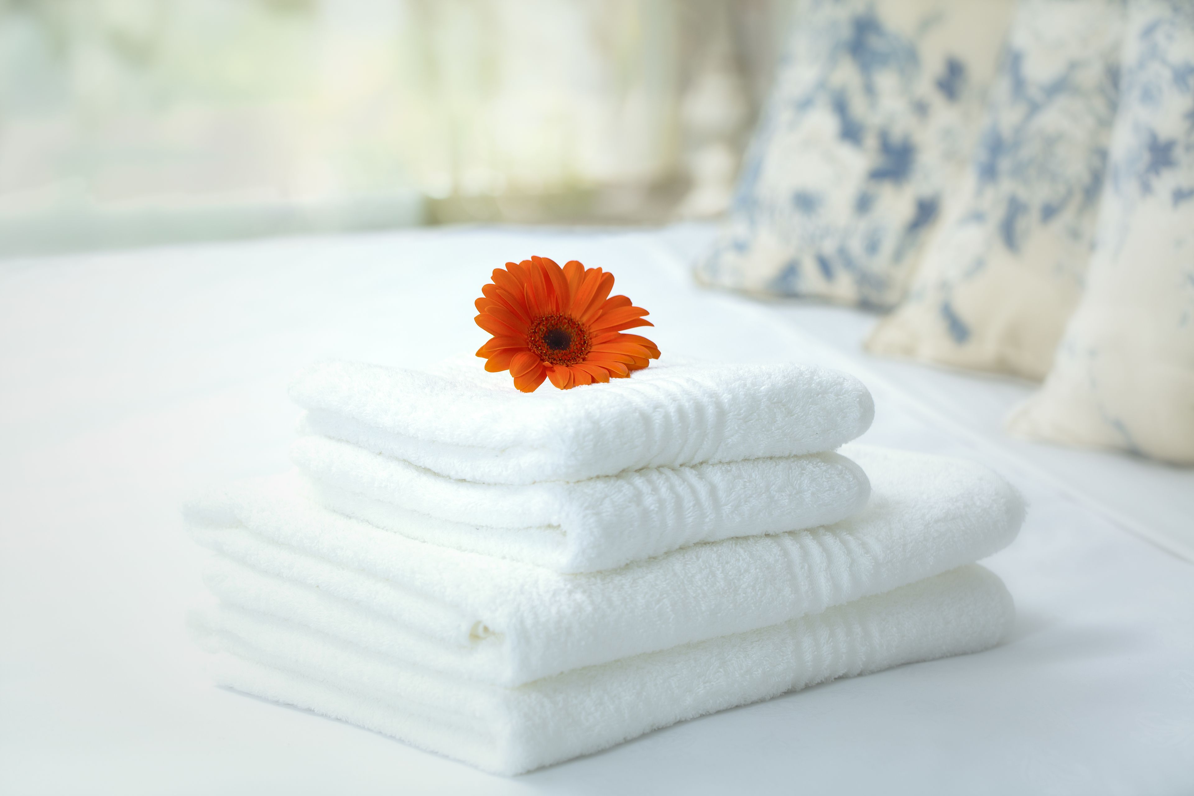 deluxe room | bathroom | free toiletries, hair dryer, towels