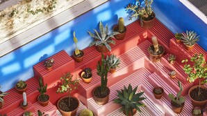 A rooftop garden with various potted plants arranged on a red and blue striped floor. - Mama Shelter Marseille (Marseille)