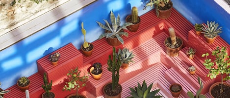 Terraza o patio
