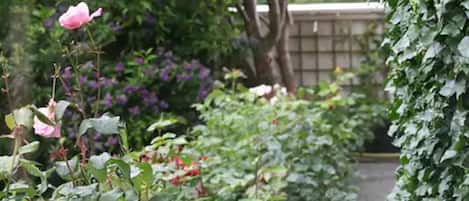 Jardín