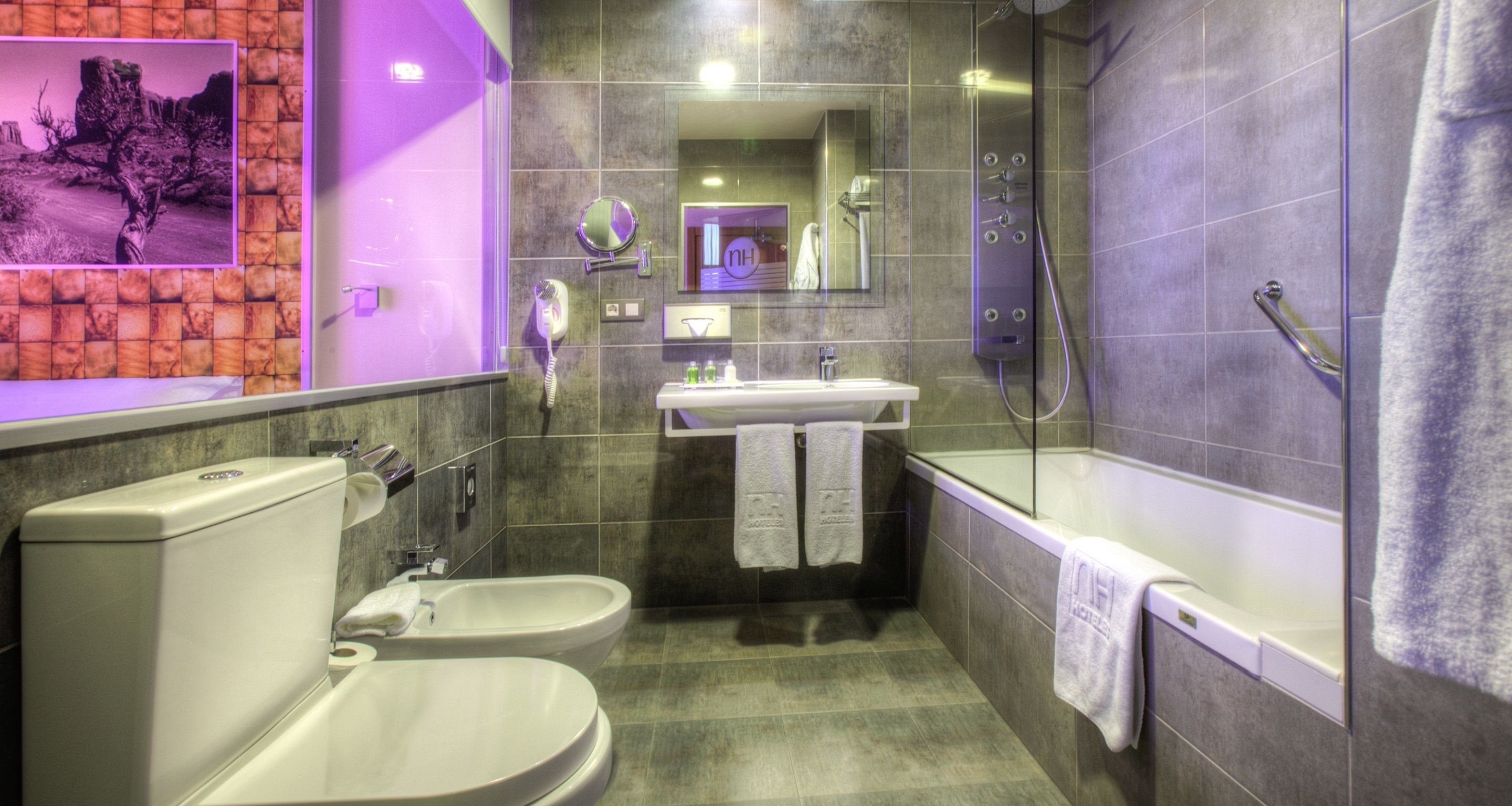 Une salle de bain moderne équipée d’un bidet, d’un lavabo, d’un miroir et d’une douche.