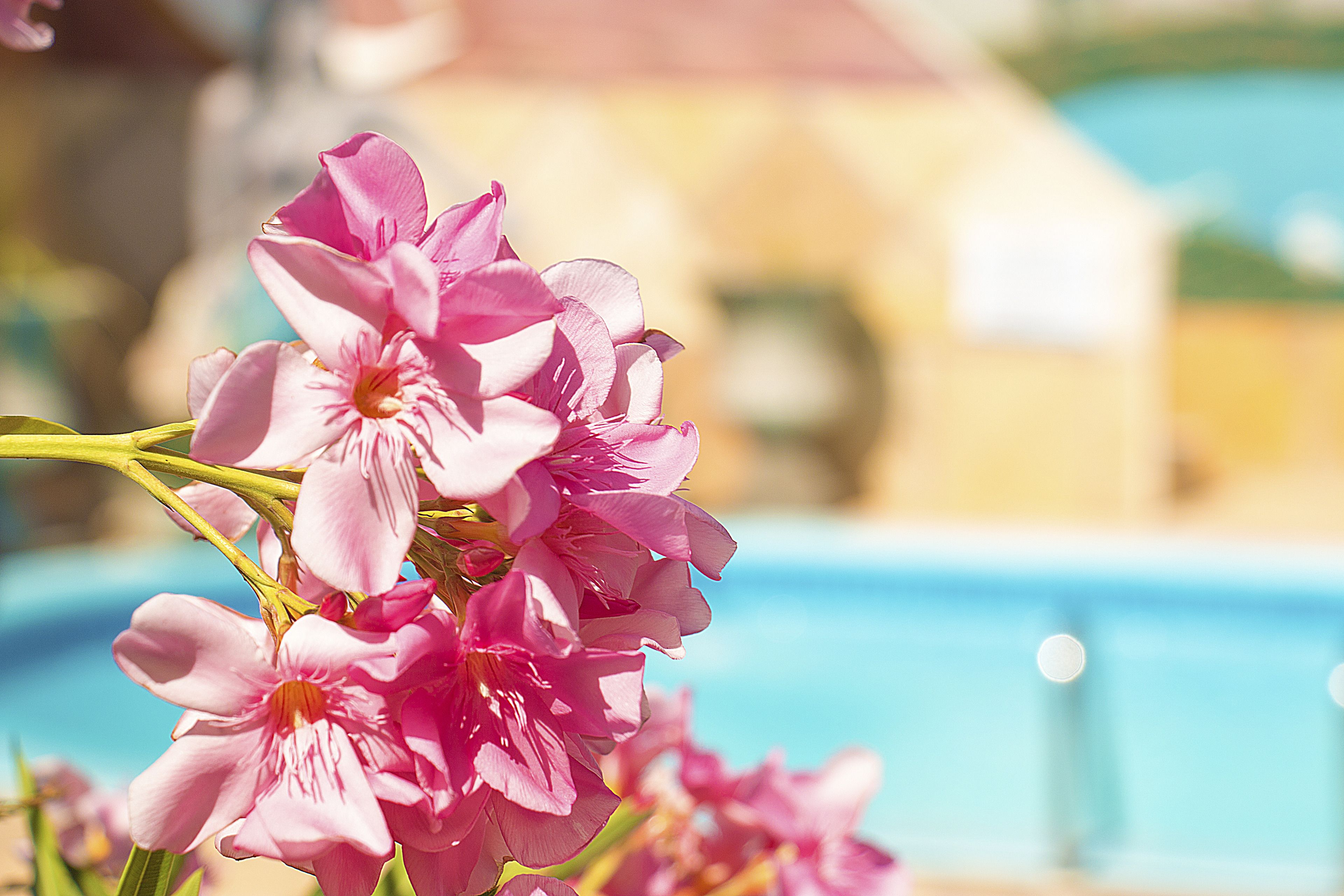 Foto - Jardim dos Orixás