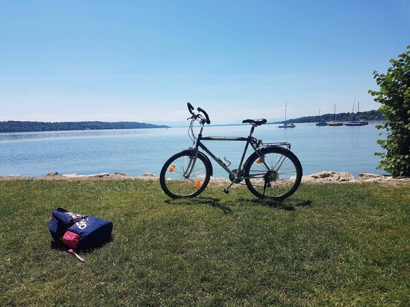 Una bicicleta estacionada en un césped junto a un lago, con barcos al fondo.