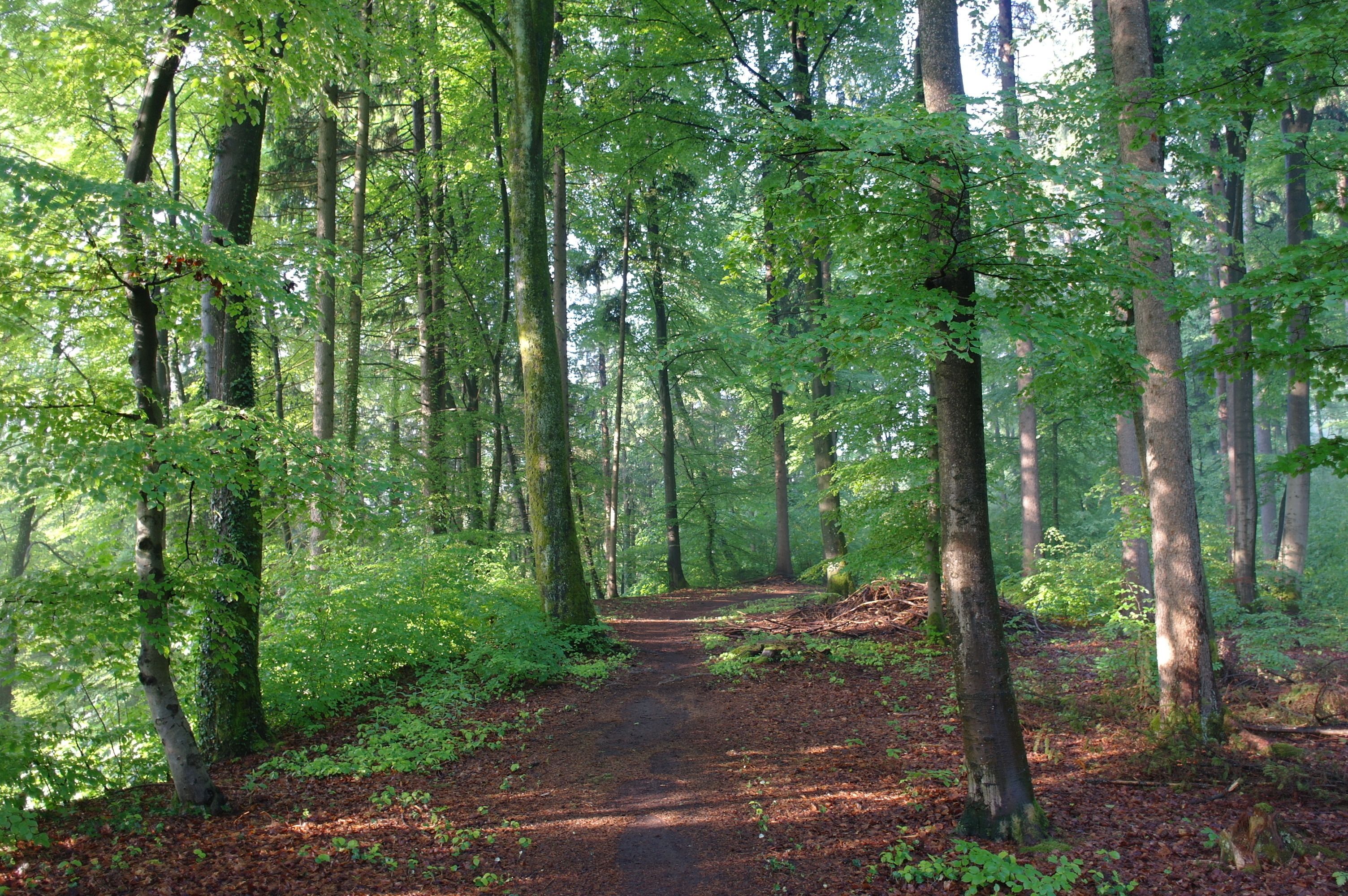 standard double room | view from property