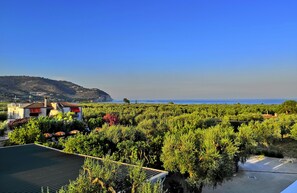 A vineyard with a view of the sea and a hill in the background. - Hotel Residence Torre del Porto (Mattinata)
