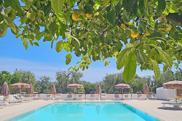 Seasonal outdoor pool, pool umbrellas, sun loungers
