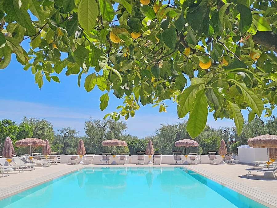 Seasonal outdoor pool, pool umbrellas, pool loungers