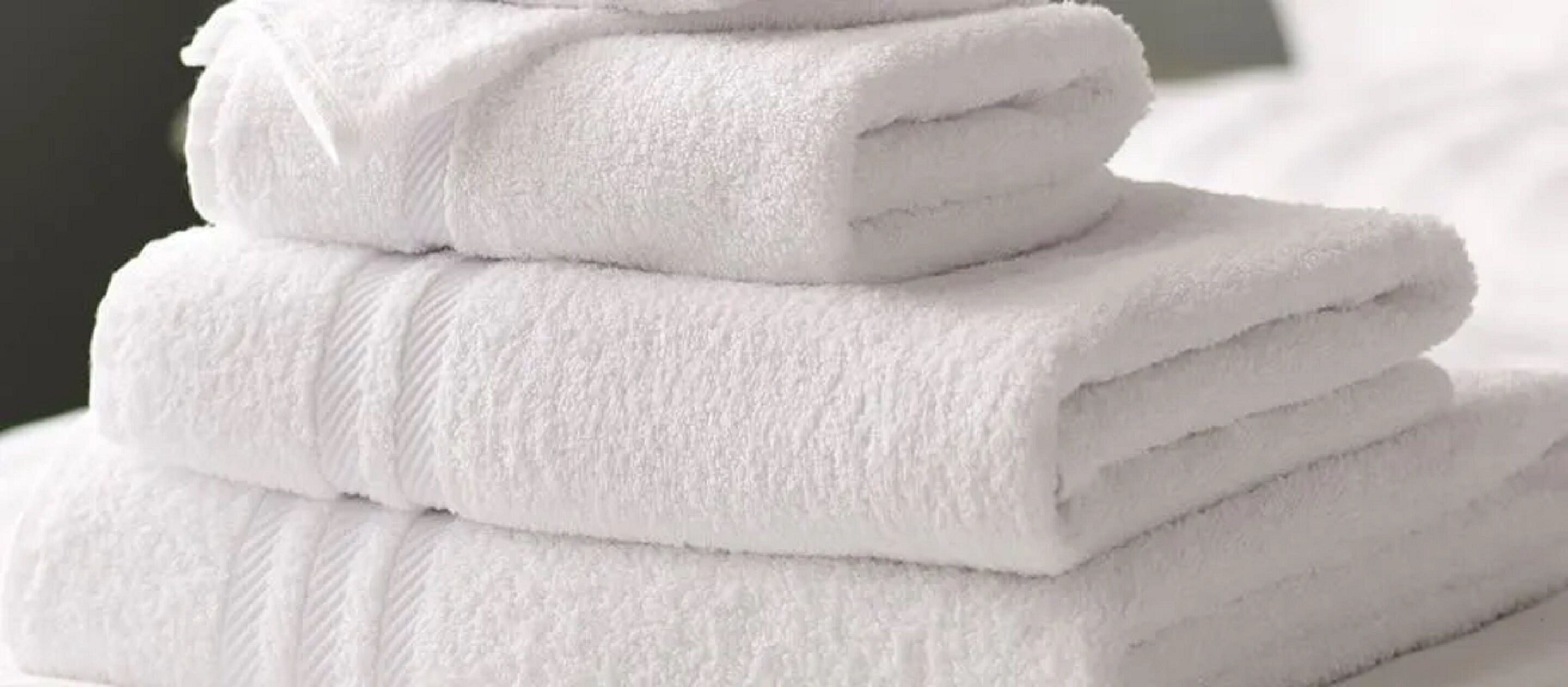 Ensemble douche/baignoire, serviettes fournies
