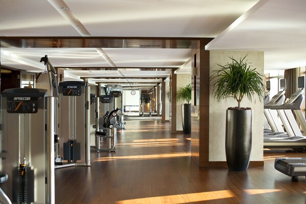 Un gimnasio moderno con máquinas de cardio, pesas y una planta grande en maceta.