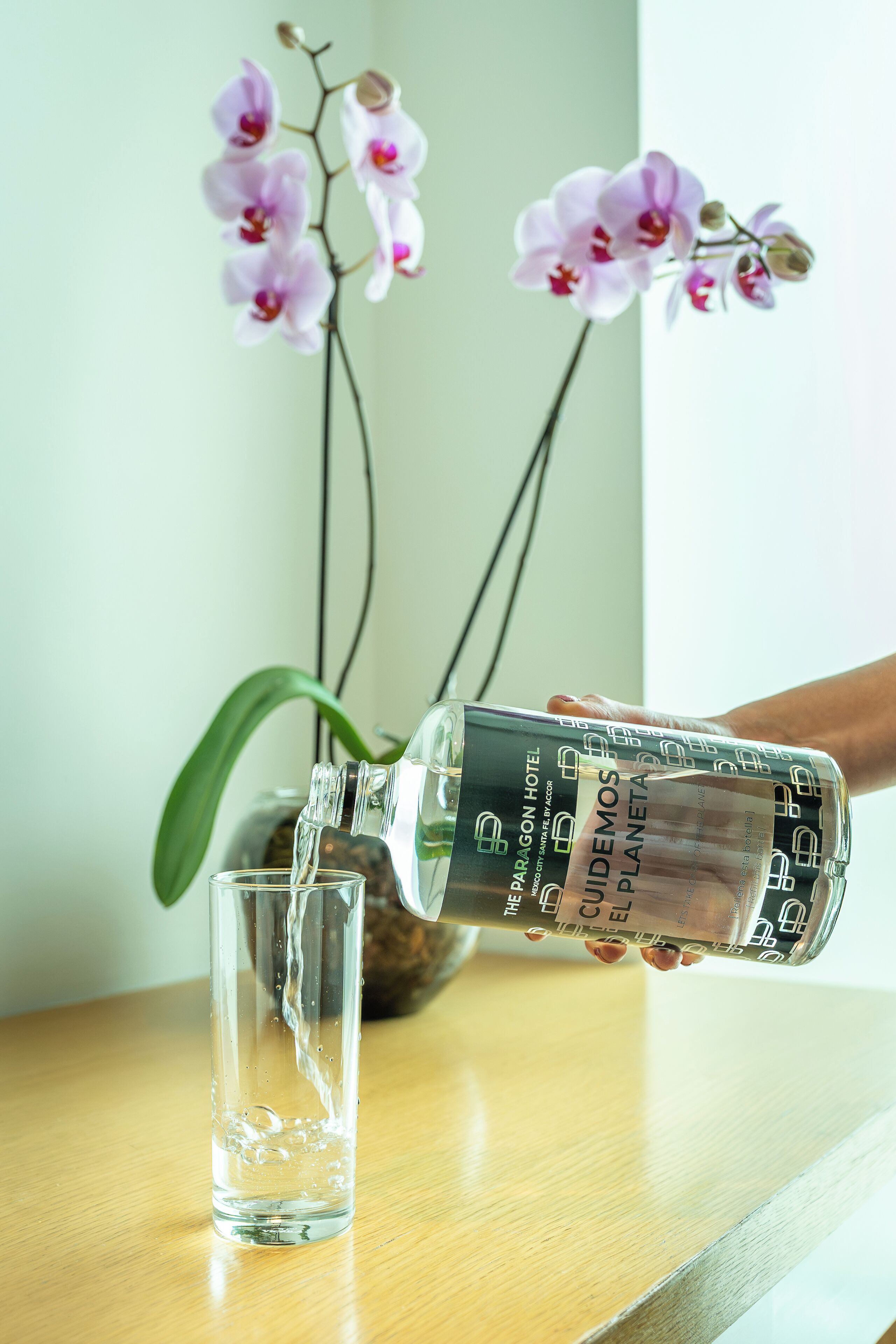 Foto - The Paragon Hotel Mexico Santa Fe By Accor