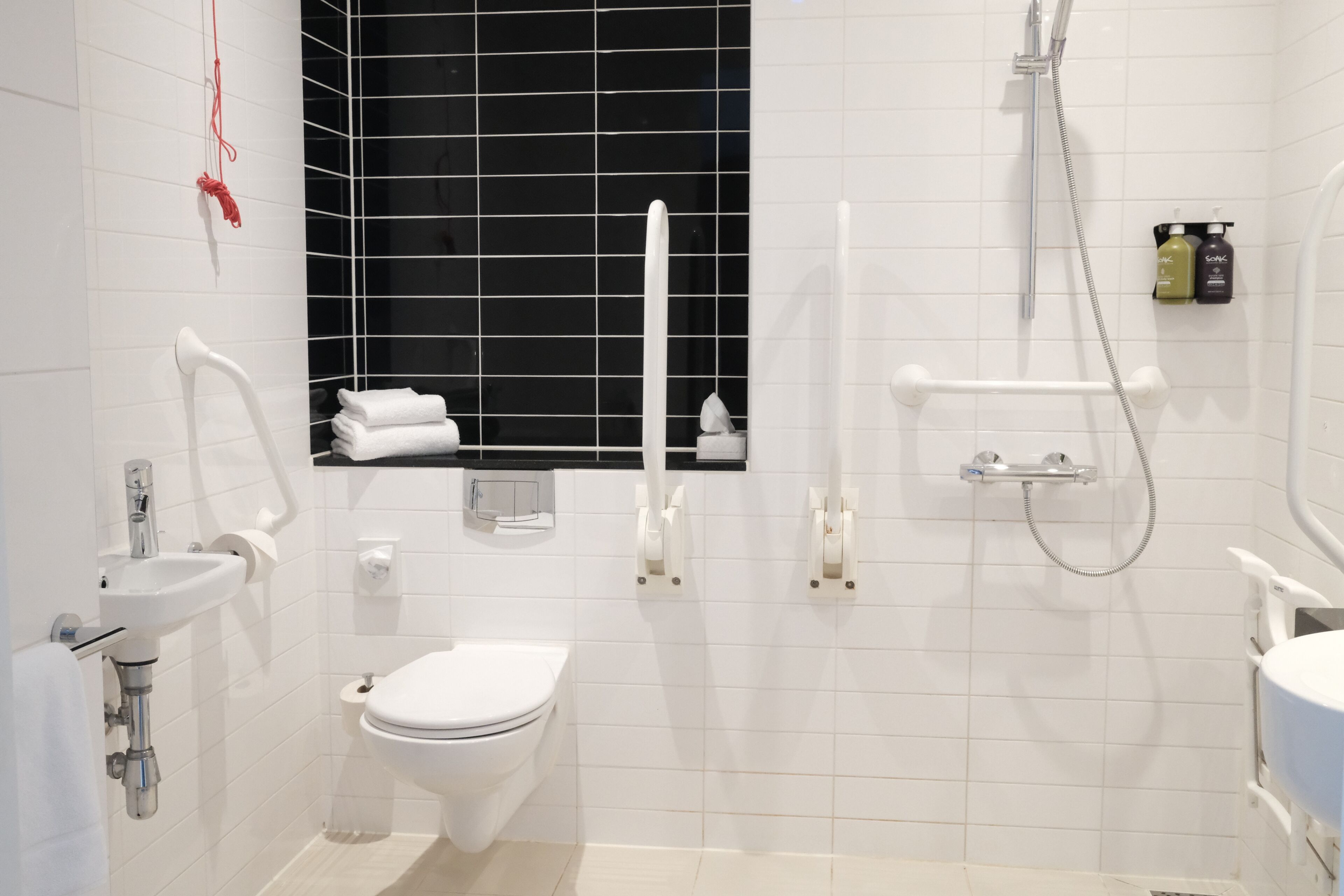 Photo - Holiday Inn Express Amsterdam - South by IHG