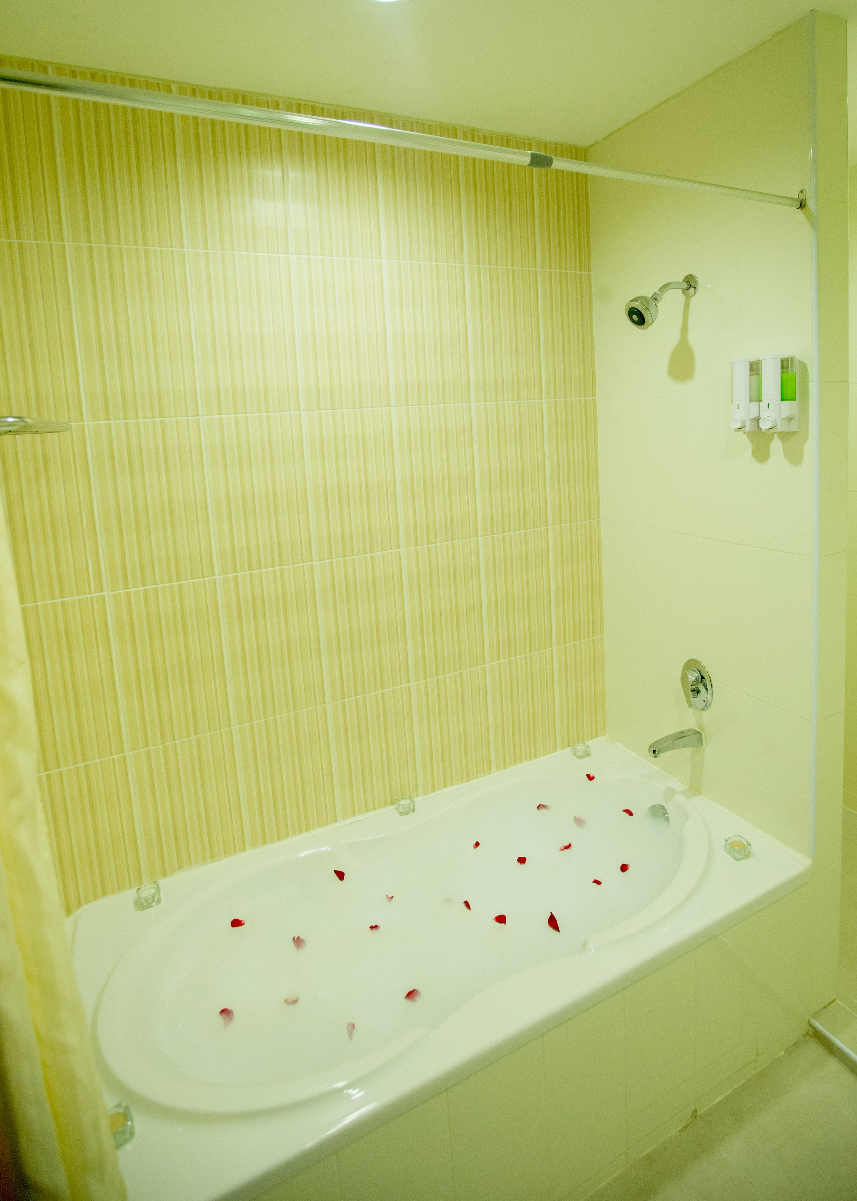 Une salle de bain avec une baignoire, une douche et des toilettes.