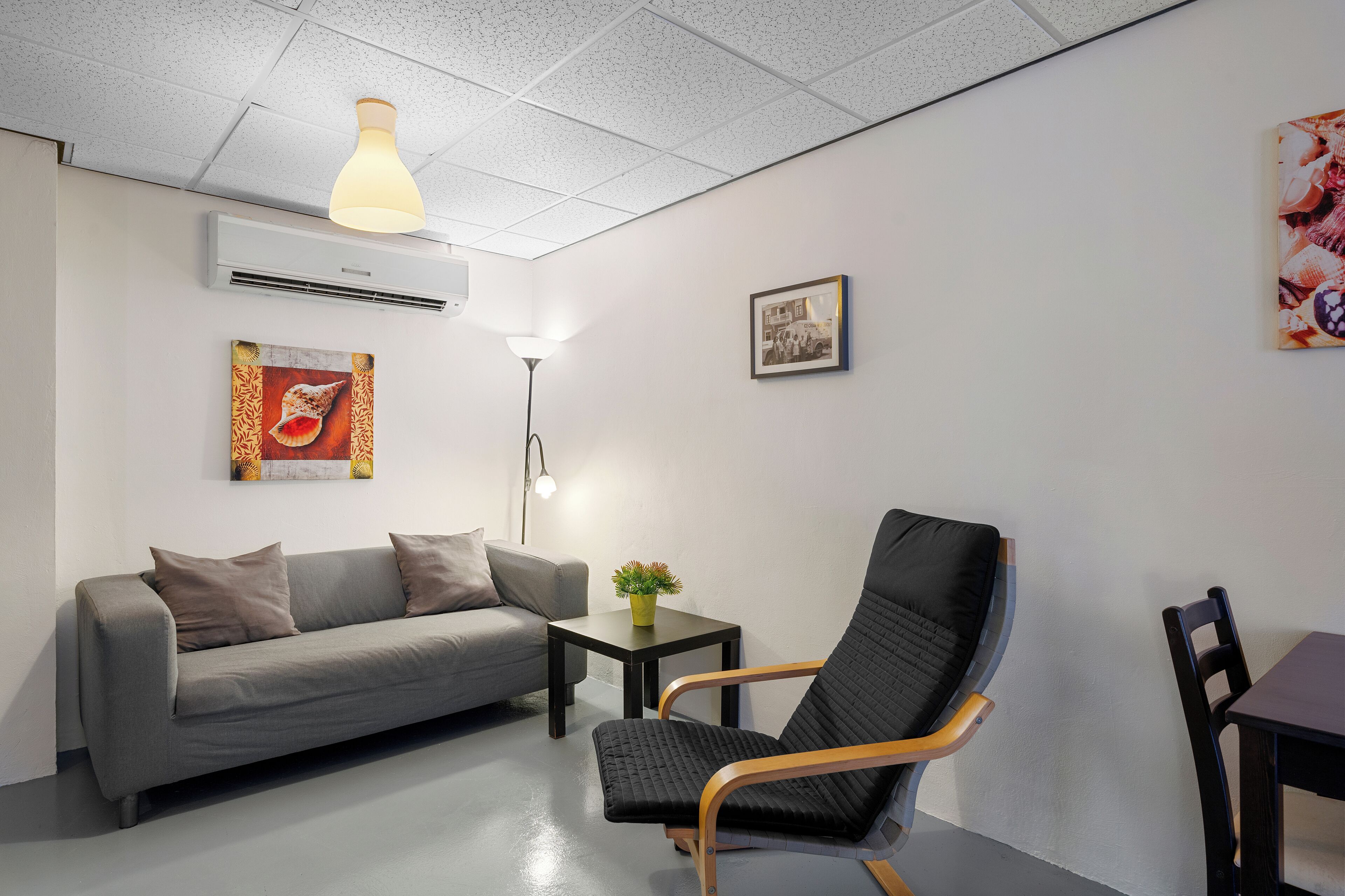 A modern living room with a grey sofa, a black chair, a small table with a plant, and a ceiling light.
