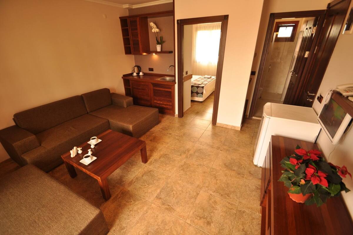 Appartement, 1 chambre | Minibar, coffres-forts dans les chambres, bureau, Wi-Fi gratuit