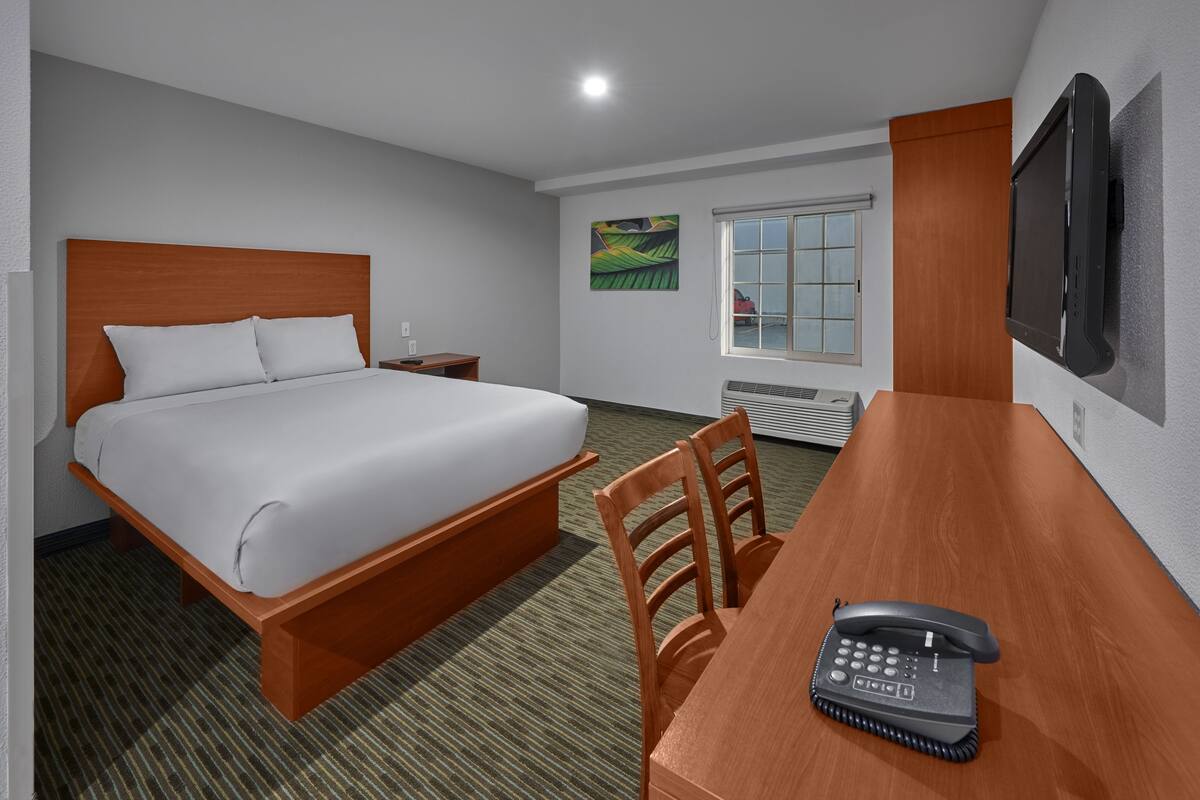 A hotel room with a bed, a desk with a telephone, a chair, a TV mounted on the wall, and a window with blinds.