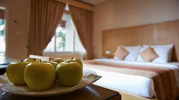 Deluxe King Room with Sea View | View from room