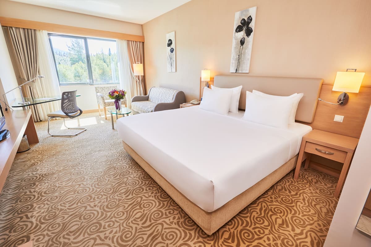 Habitación Deluxe | Sábanas de algodón egipcio, ropa de cama de alta calidad y minibar