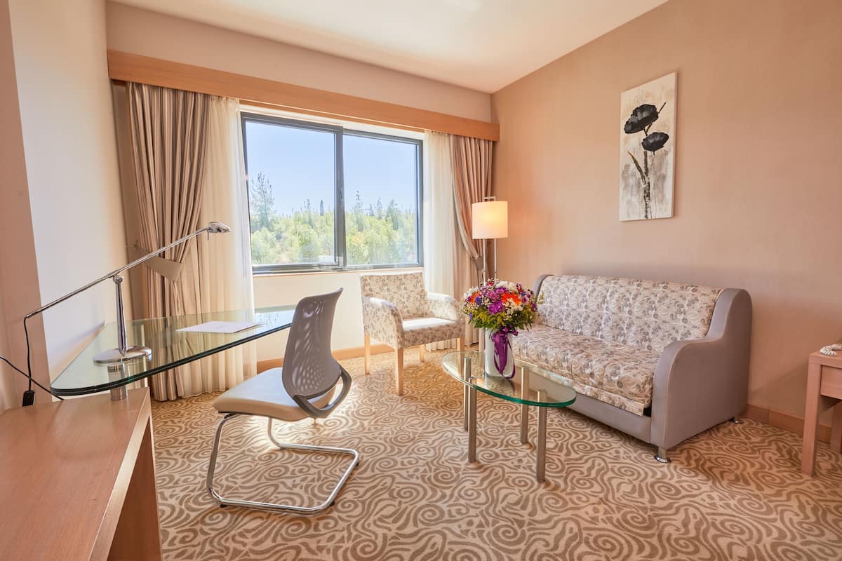 deluxe room | mountain view