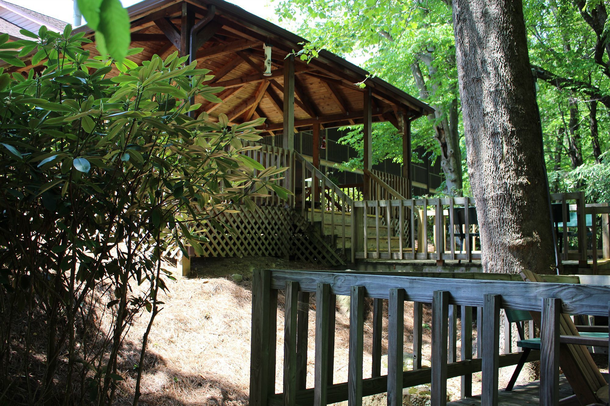 A wooden pavilion with a covered seating area, surrounded by trees and a wooden fence.