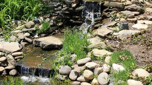 A small waterfall in a garden with rocks and greenery.