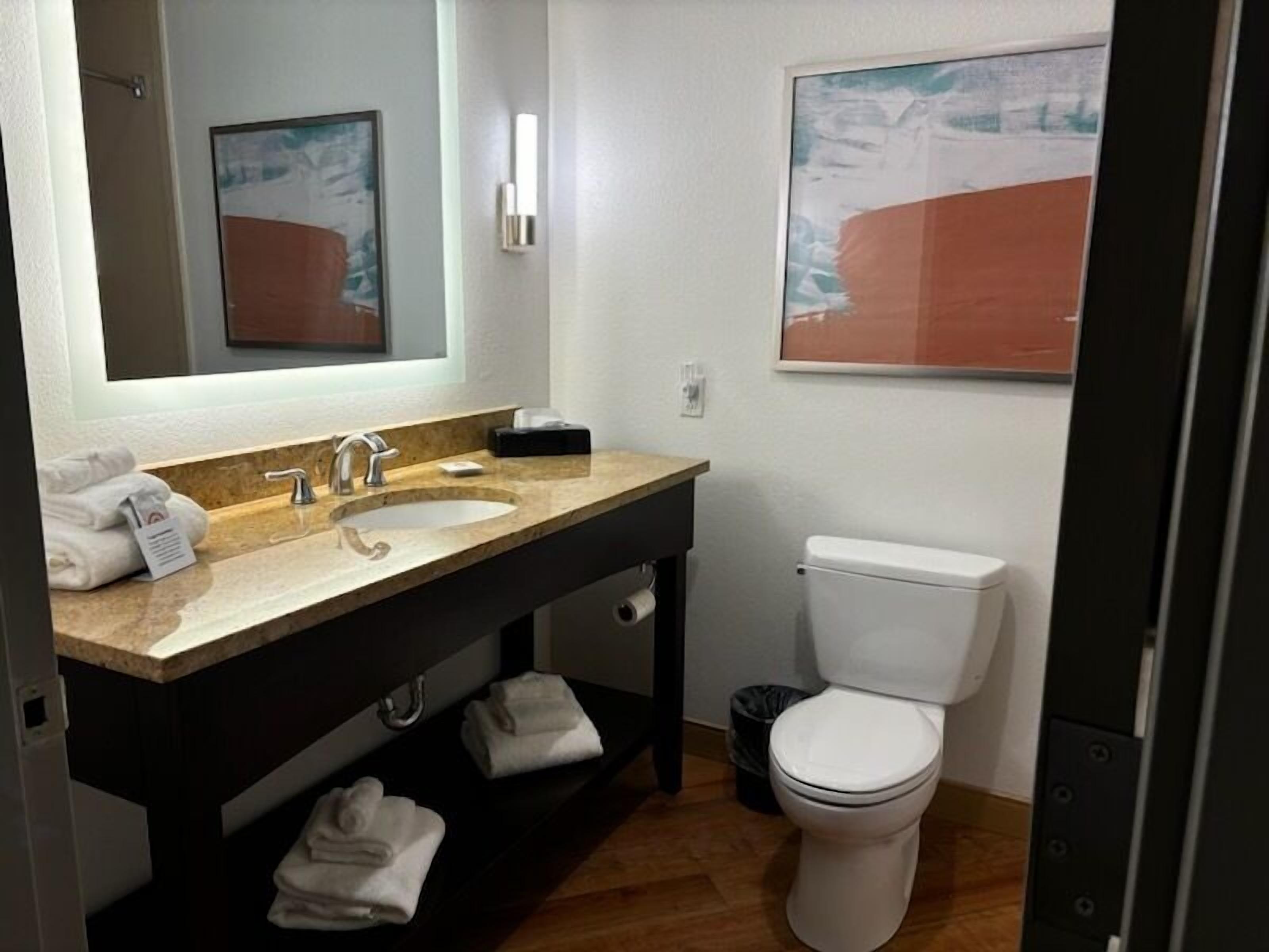 combined shower/bathtub, free toiletries, hair dryer, towels