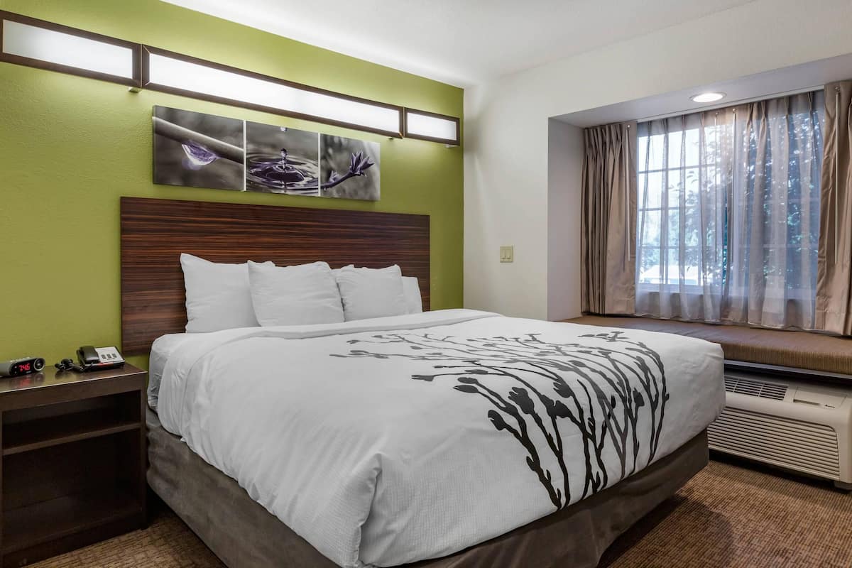 Standard Room, 1 King Bed, Non Smoking | Pillowtop beds, in-room safe, desk, laptop workspace