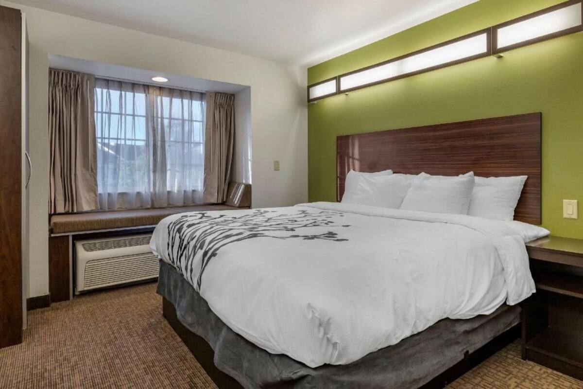 A hotel room with a large bed, a window with curtains, a built-in bench, and a green accent wall.