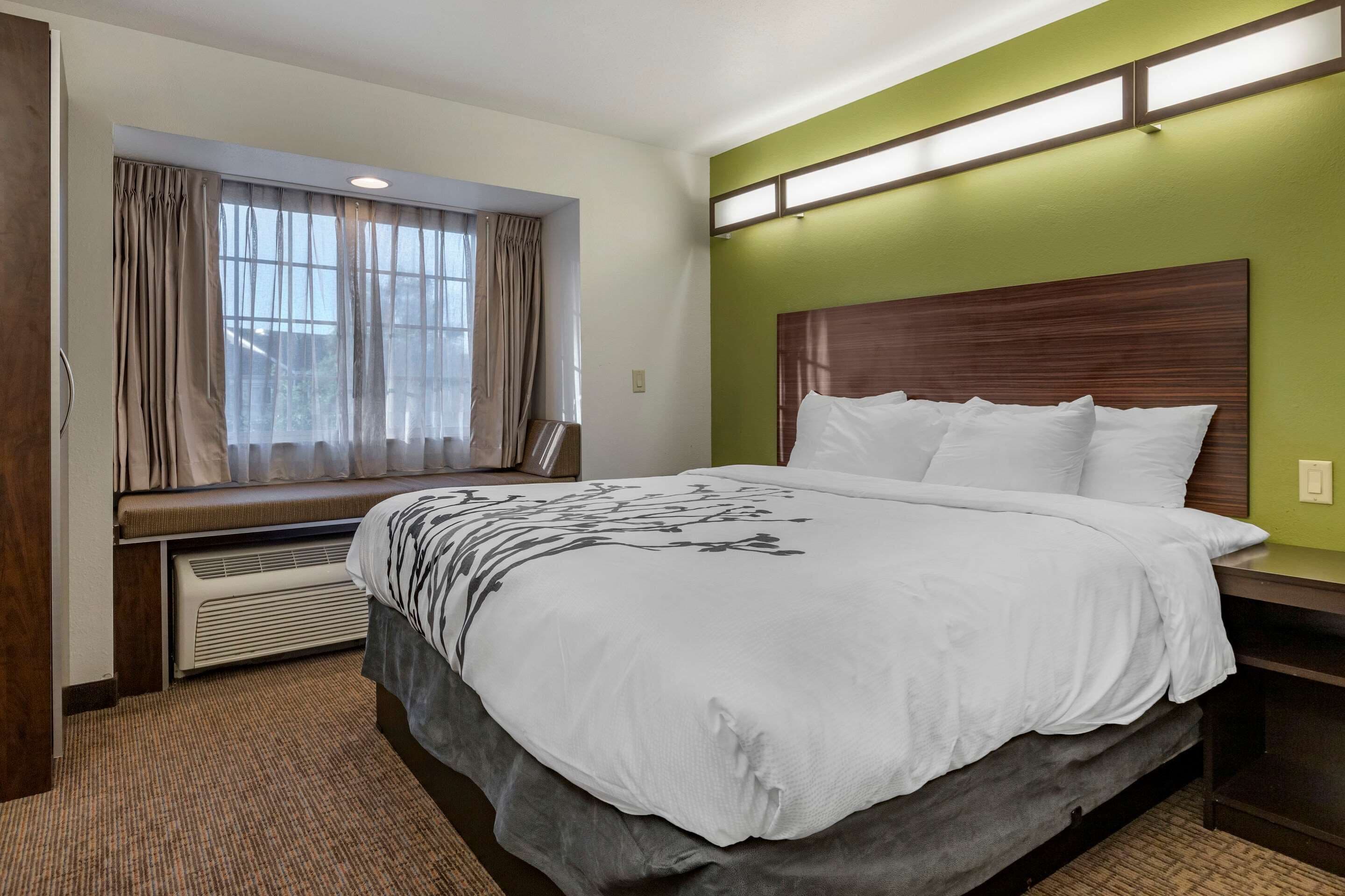 suite, 1 king bed with sofa bed, non smoking (efficiency, upgrade) | pillow-top beds, in-room safe, desk, laptop workspace