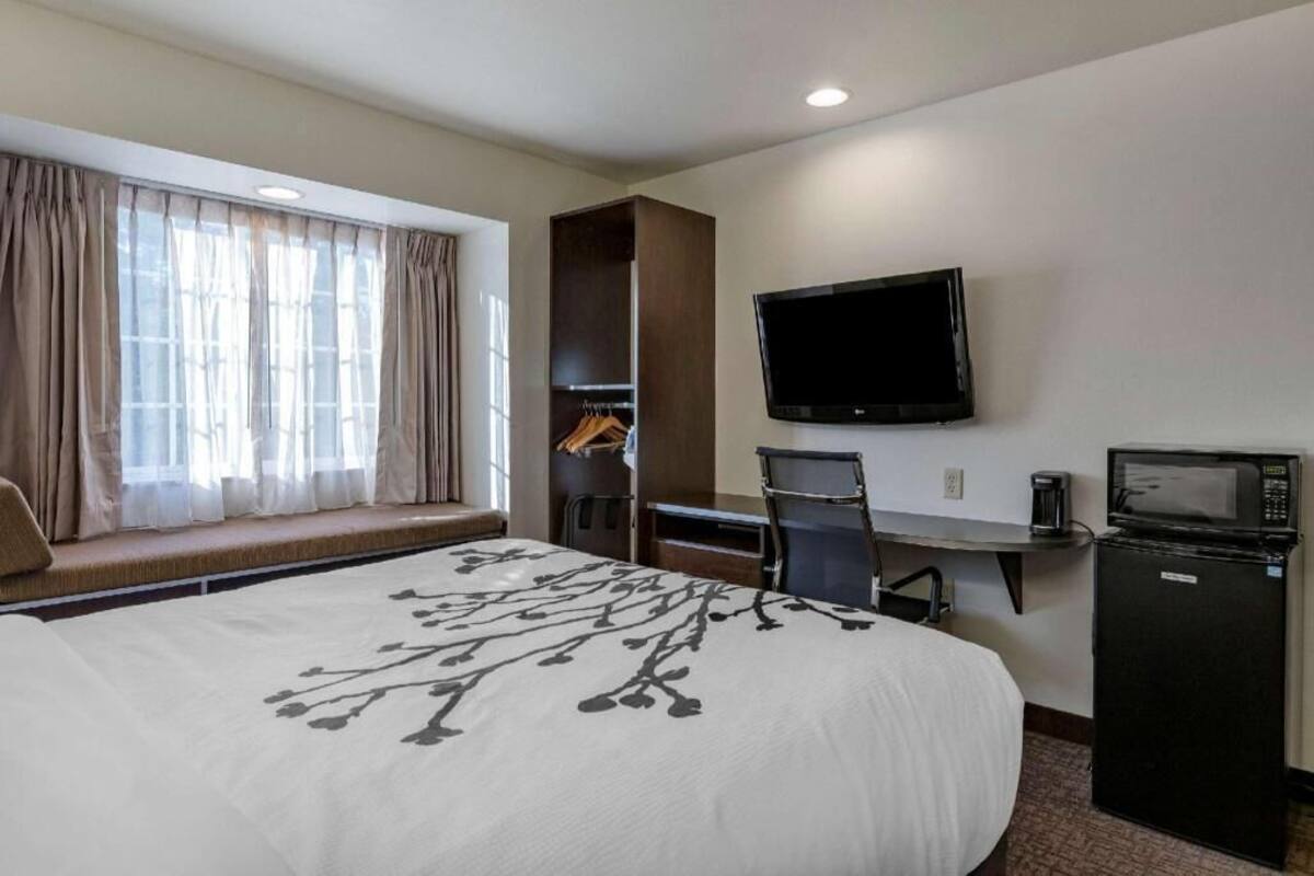 A hotel room with a bed, a desk, a chair, a television, a microwave, and a wardrobe.