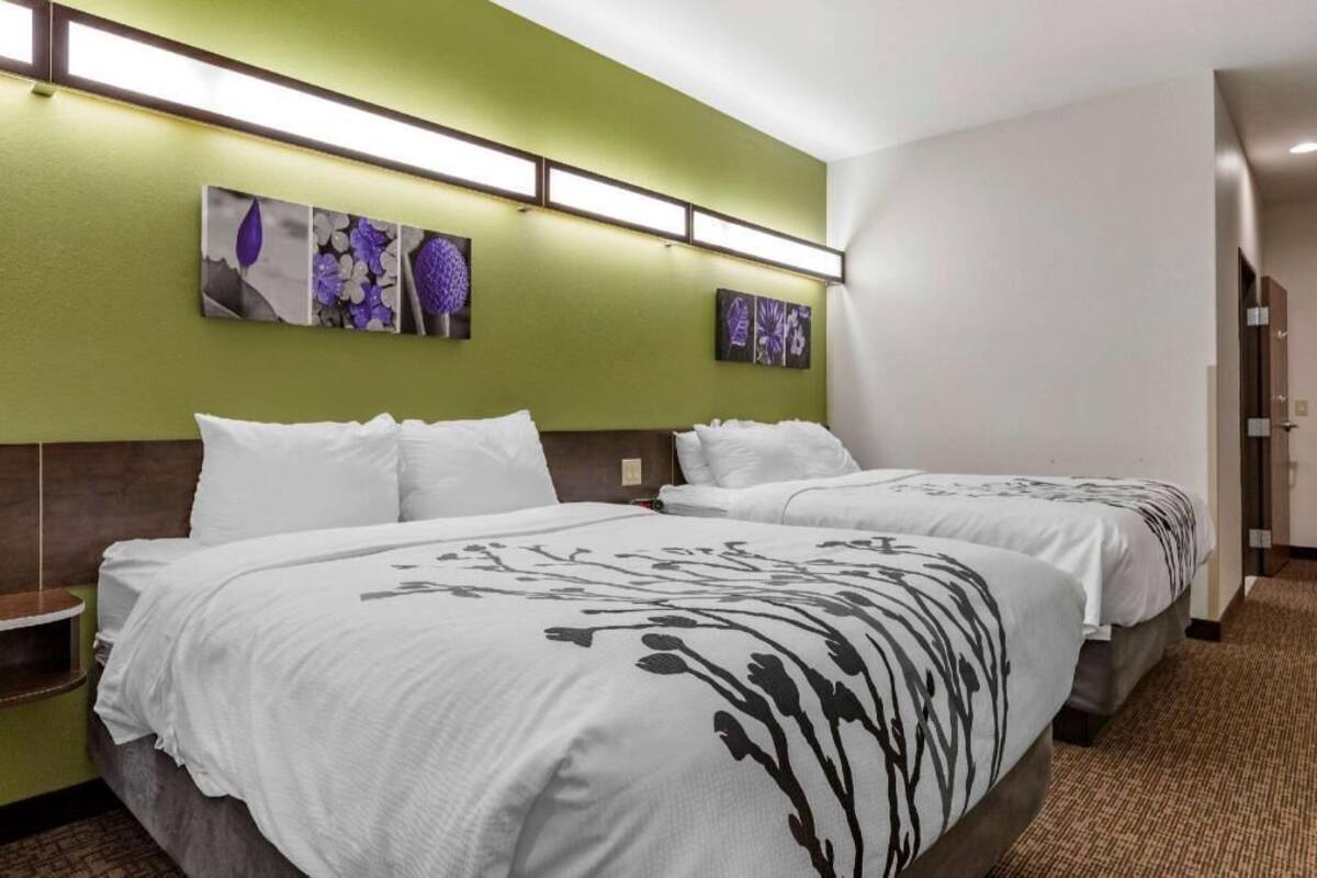 A hotel room with two beds, green walls, and artwork above the beds.