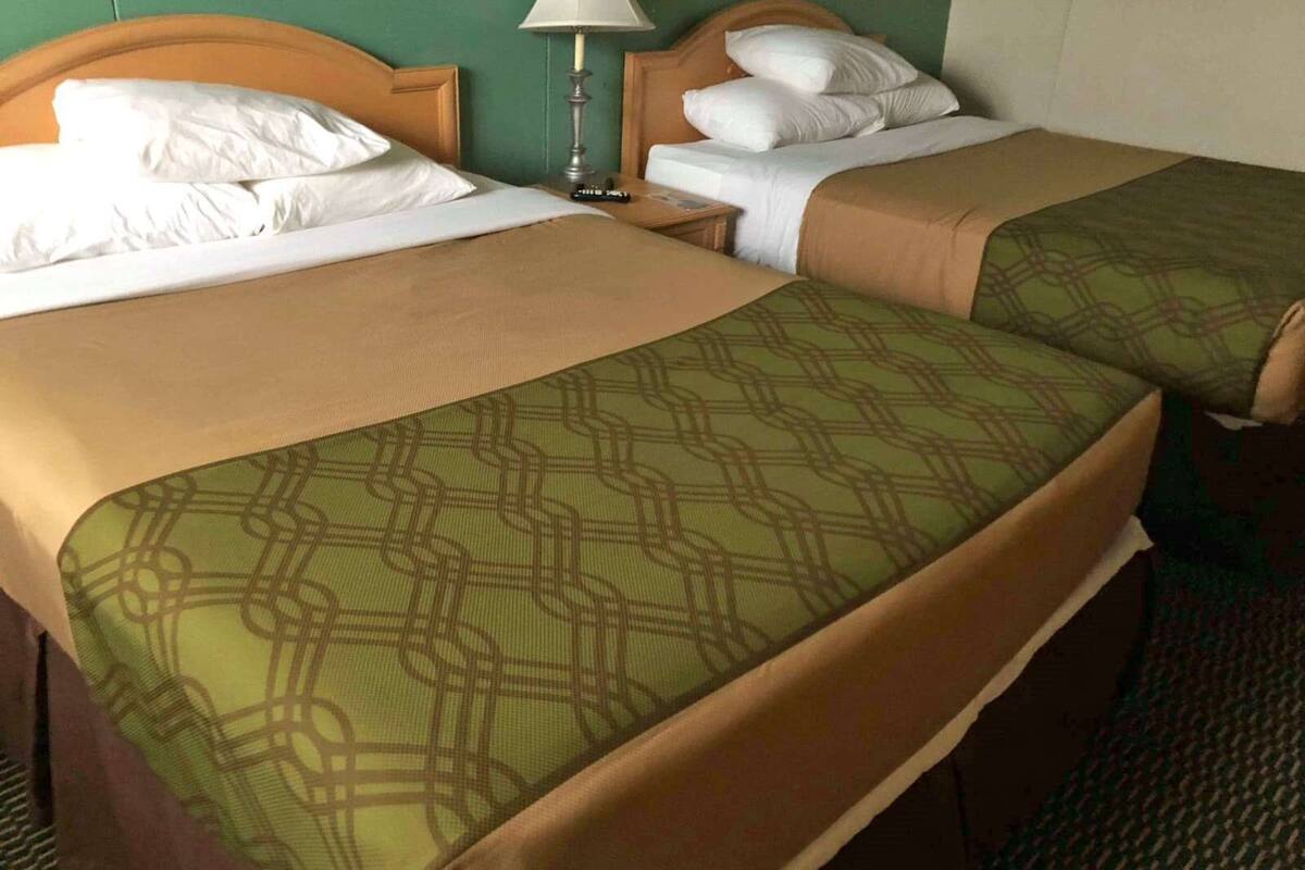 Hotellihuone, jossa on kaksi sänkyä, joissa kummassakin on kuviollinen peitto, yöpöytä lampun kanssa ja vihreä seinä.