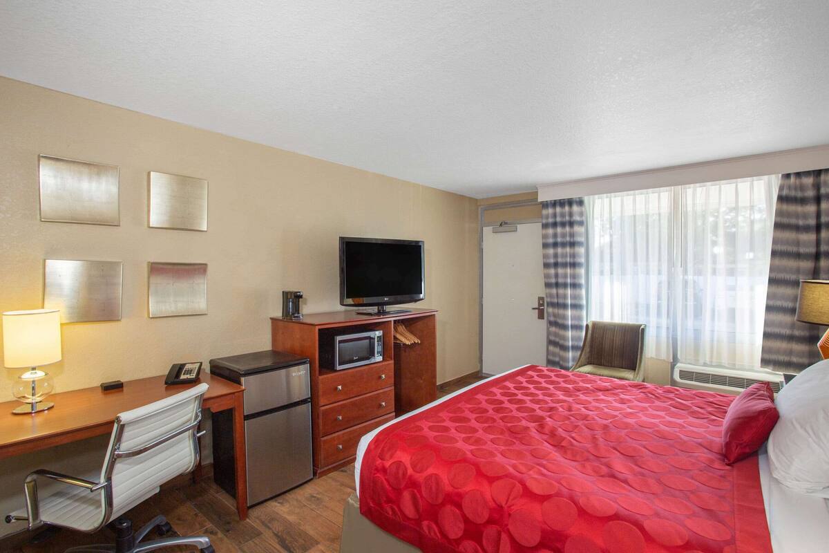 Habitación de hotel con cama, escritorio, silla, televisor, microondas y un refrigerador pequeño.