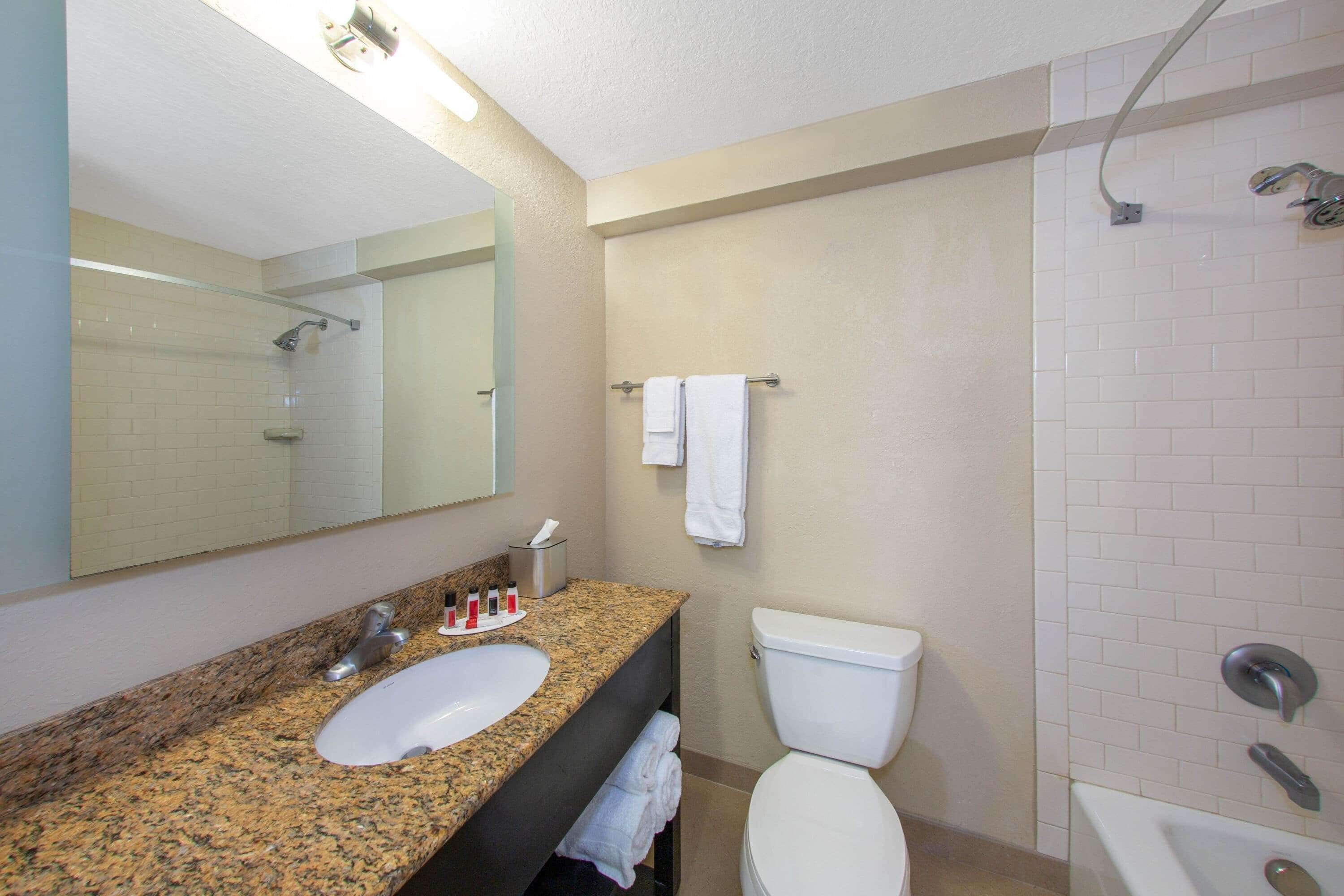 combined shower/bathtub, free toiletries, hair dryer, towels