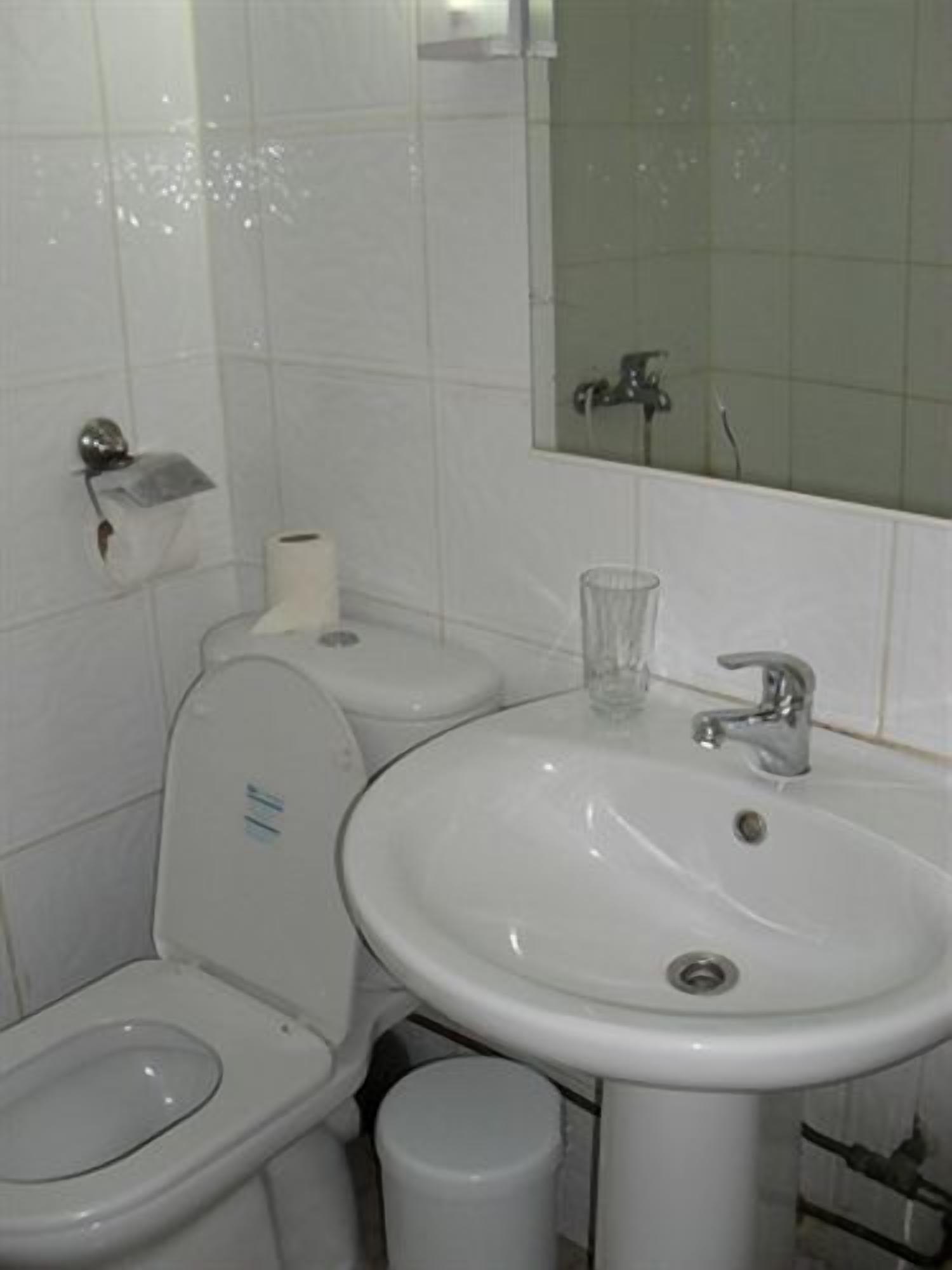 A bathroom with a toilet, sink, and mirror.
