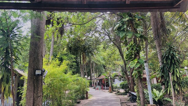 A sign for The RelaxBeach Resort with a pathway leading through a lush, green environment. -  The Relax Beach Resort (Ko Pha-ngan)