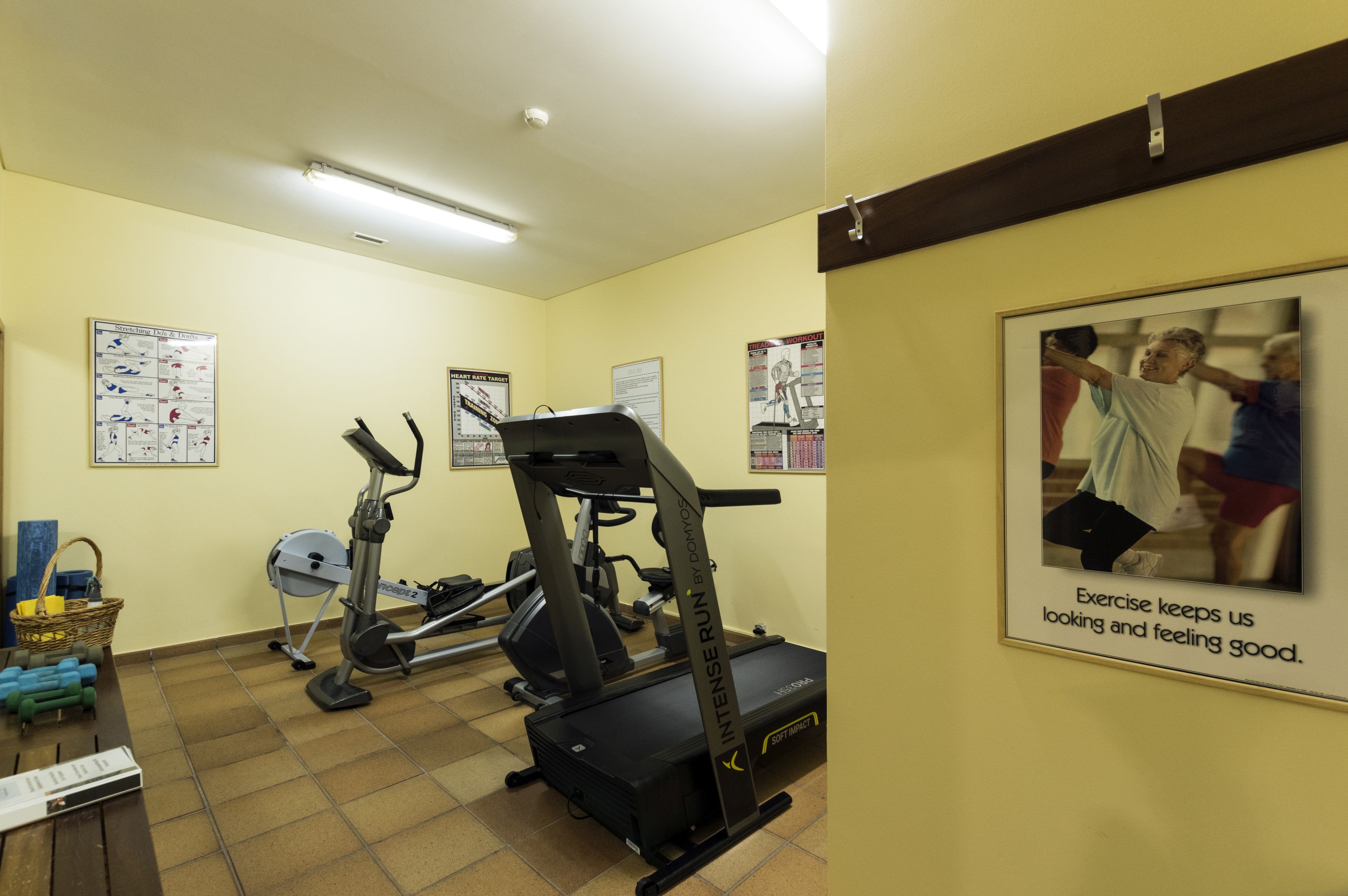 Un gimnasio con cintas de correr, elípticas y equipamiento de ejercicio.