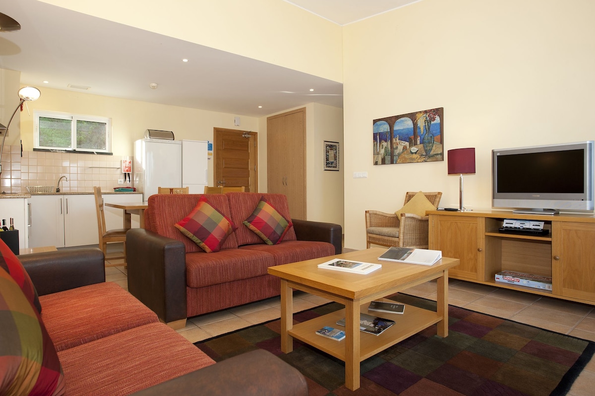 A compact living space with a sofa, a coffee table, a TV, and a small kitchen area.