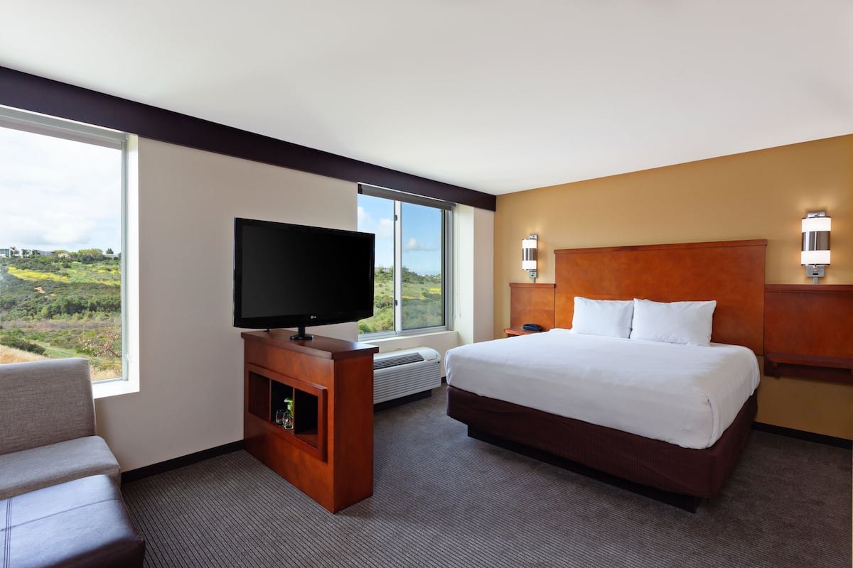 A hotel room with a large bed, a TV on a wooden stand, a sofa, and a view of the outdoors.