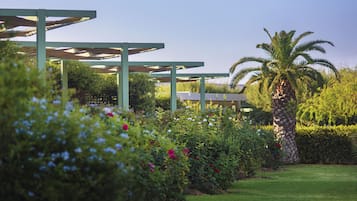 Un jardin agrémenté d’un palmier, d’une pergola et de diverses plantes à fleurs.