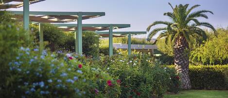 Studio, Sea View | Living area