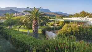 A garden with a palm tree, a pergola, and a view of mountains. - Nereids (Sitia)