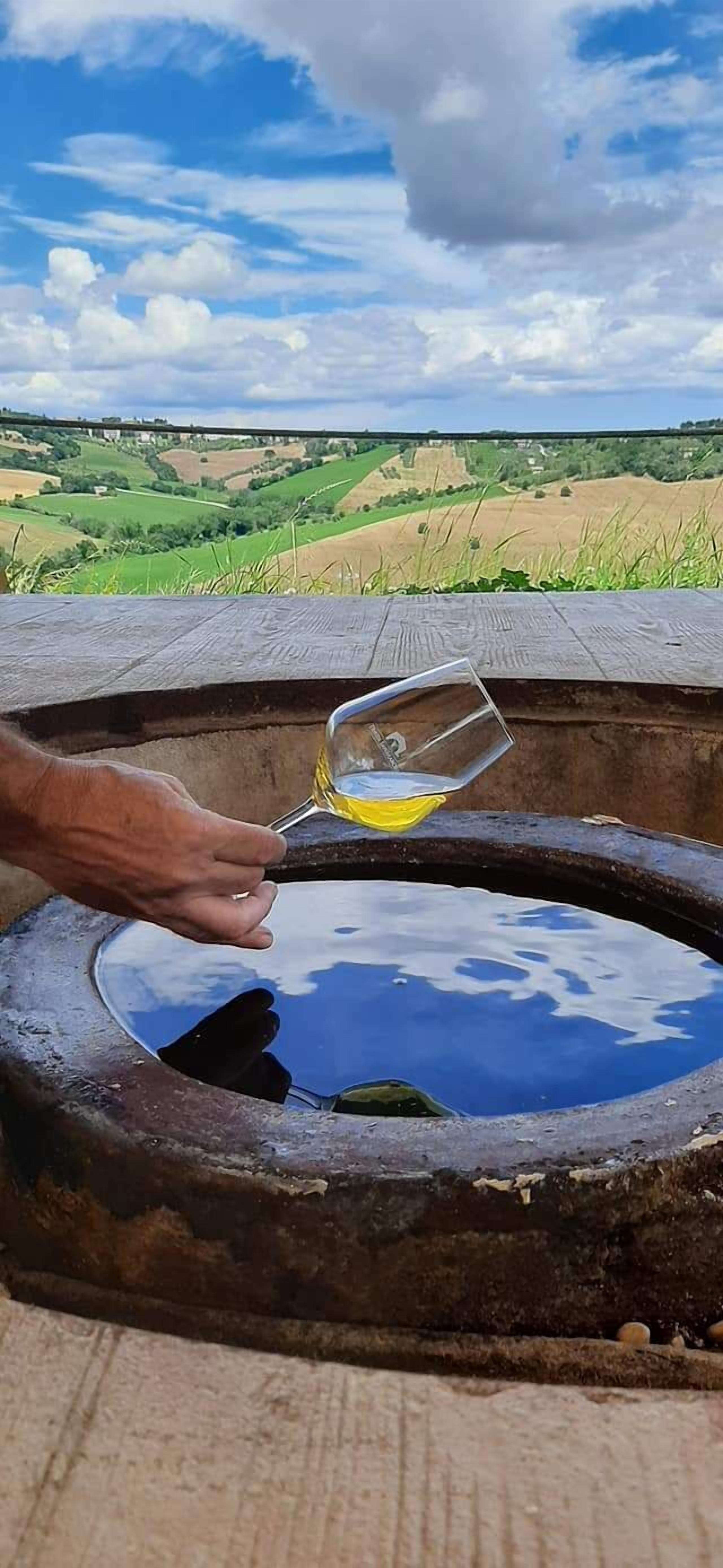 Una persona vertiendo un líquido amarillo en un recipiente metálico grande y redondo, de diseño rústico, frente a un fondo de campos verdes y un cielo nublado.