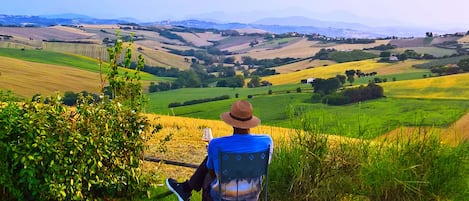 Seasonal outdoor pool, sun loungers